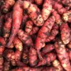 OCA