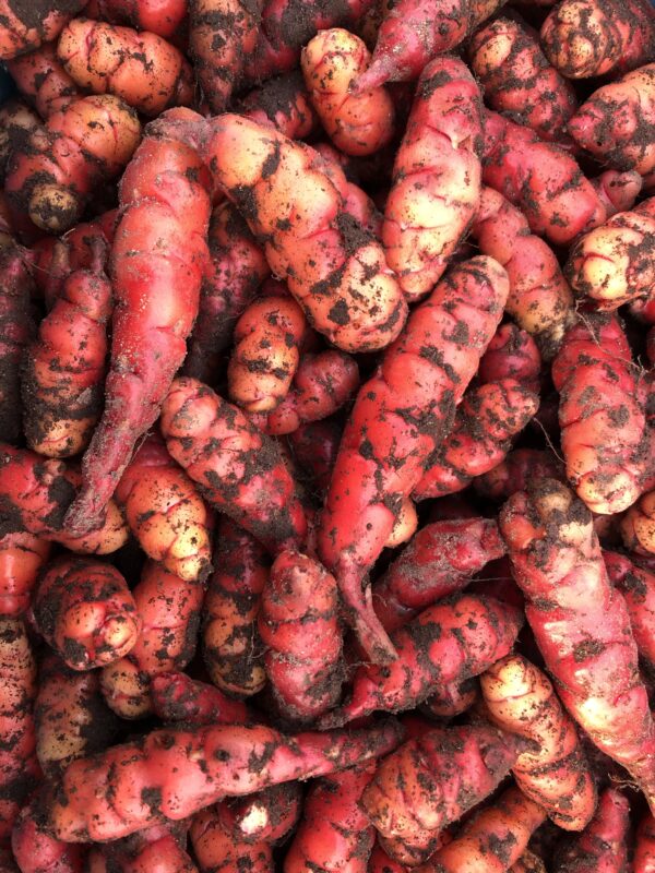 img_6771 OCA